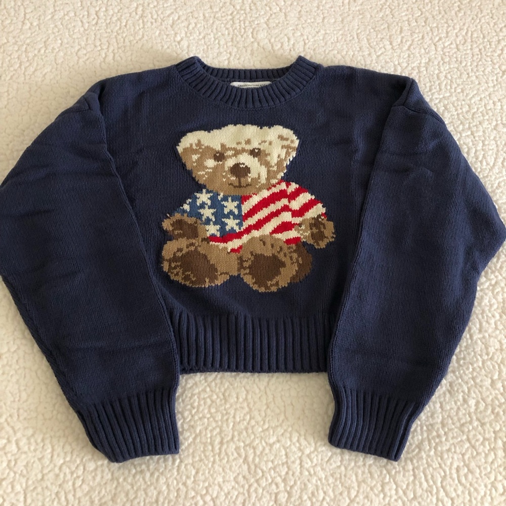 Navy Sweater with Bear and Flag Design - Picture 1 of 11
